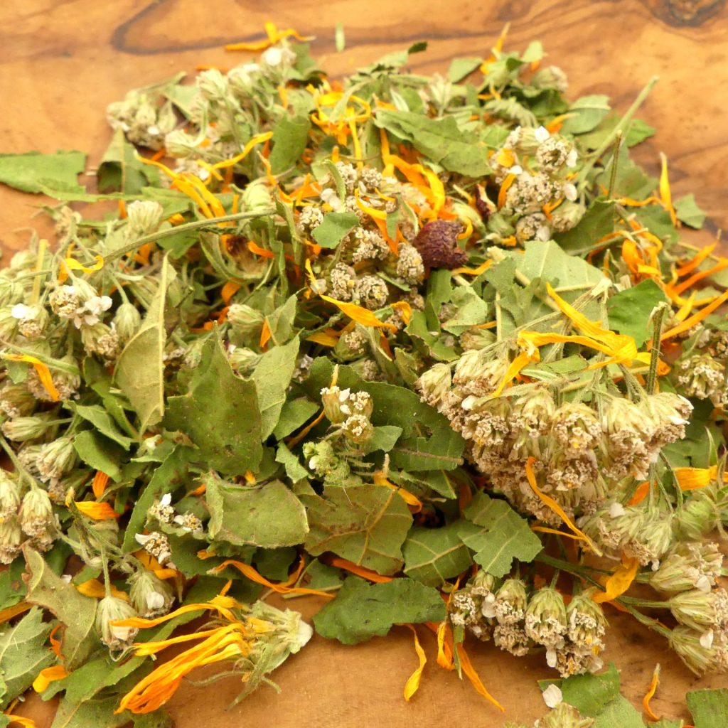 Couleurs d’automne